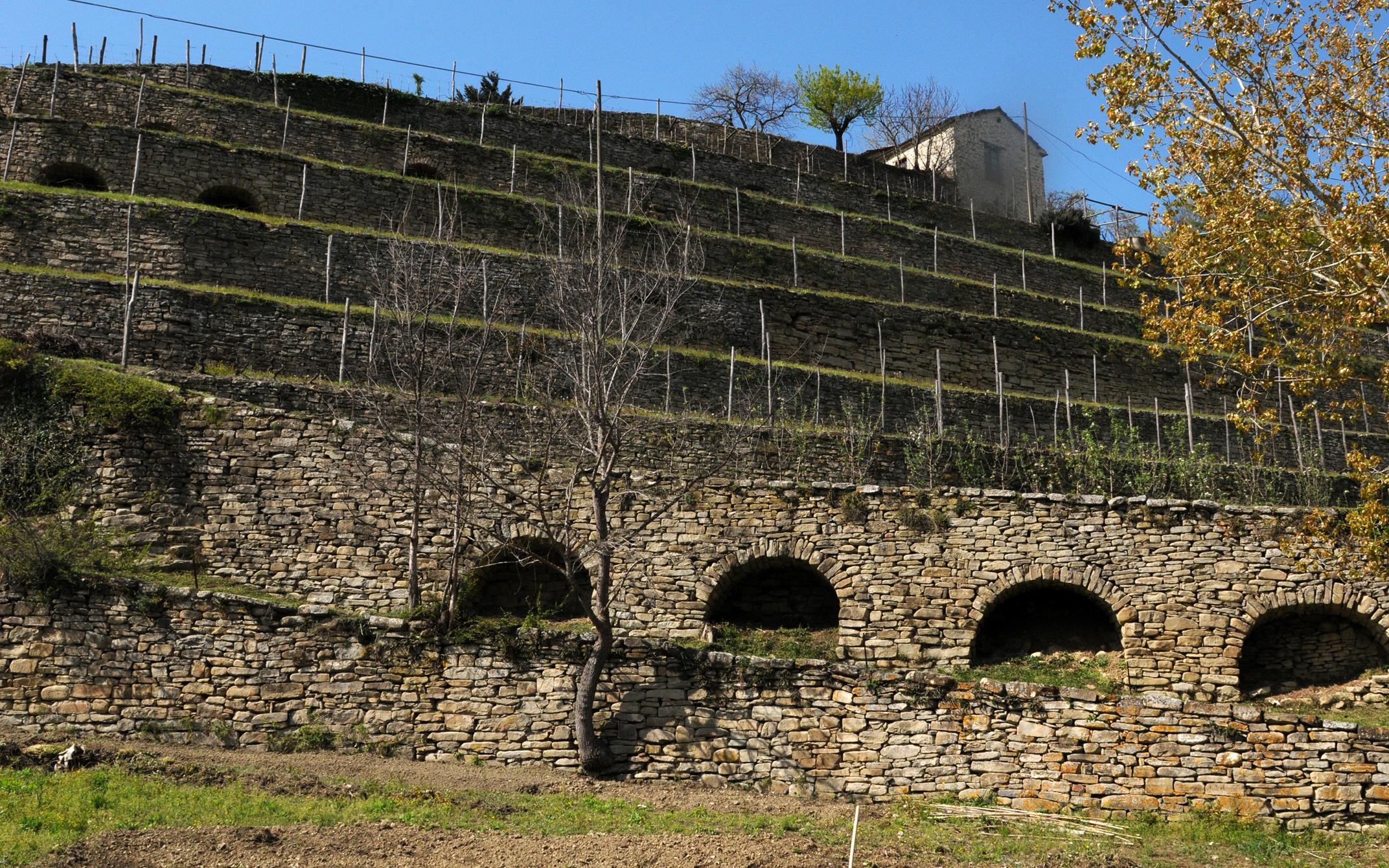 Meccanizzazione nelle Terre Alte